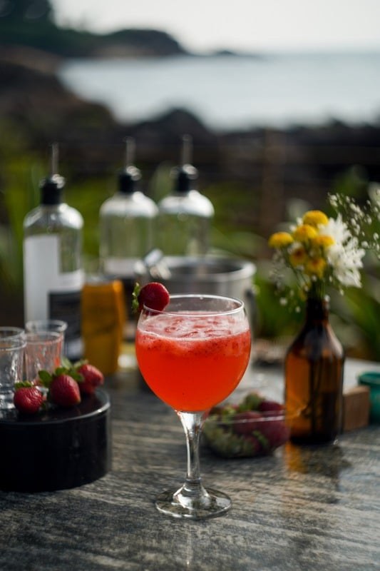 Red cocktail on a table with bottles and greenery behind it